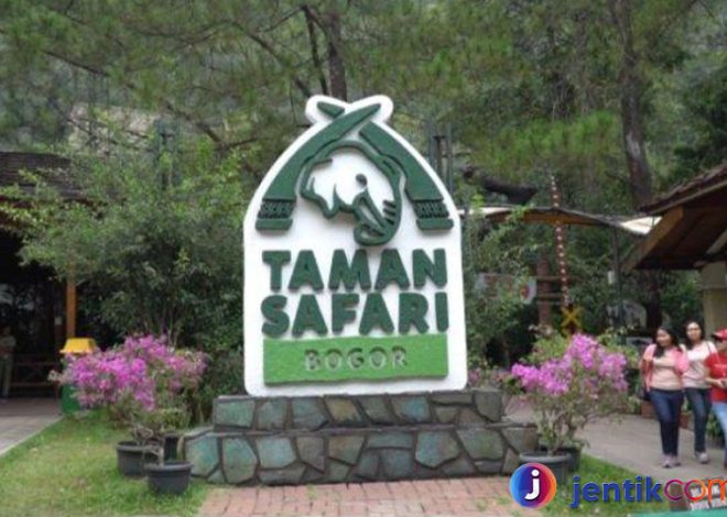 Harga Tiket di Taman Safari Bogor Mulai 150.000