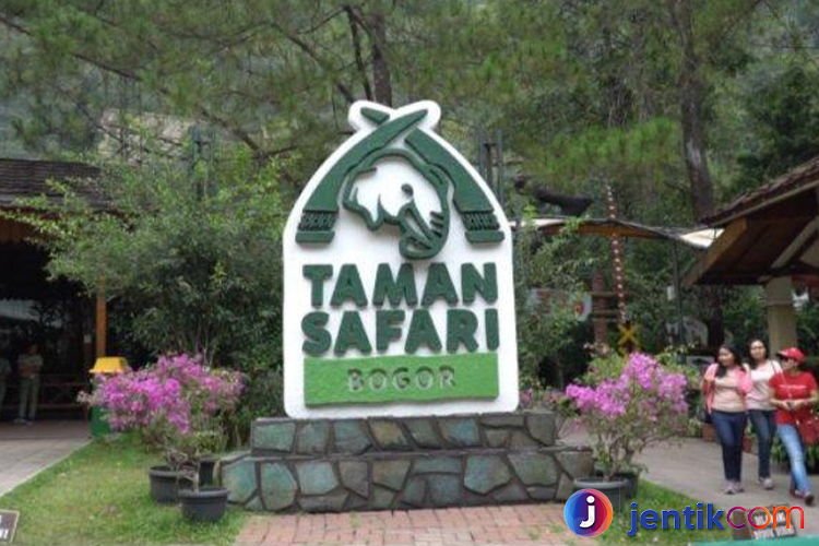 Harga Tiket di Taman Safari Bogor Mulai 150.000