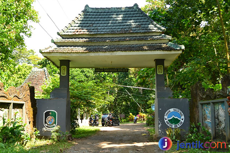 Taman Nasional Meru Betiri Surganya Flora Dan Funa Langka