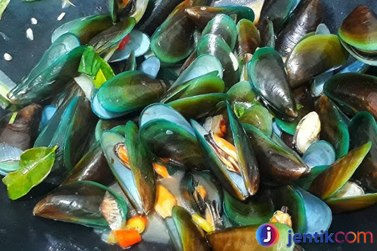 Kerang: Keanekaragaman, Manfaat, dan Potensinya