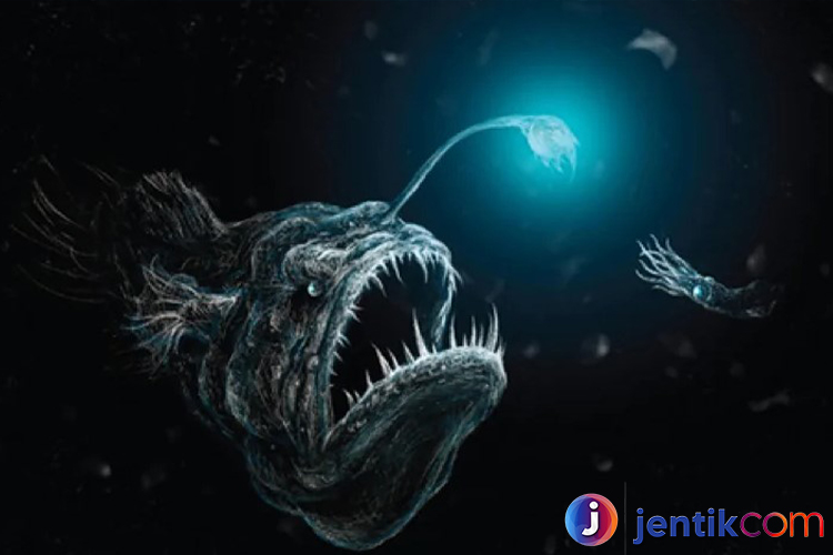 Anglerfish: Penghuni Laut Dalam yang Unik dan Menakjubkan