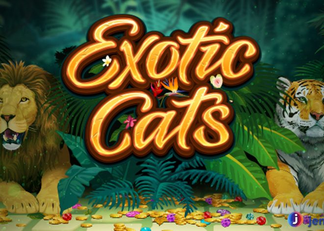 Slot Exotic Cats: Jackpot Melimpah, Kemenangan Menanti